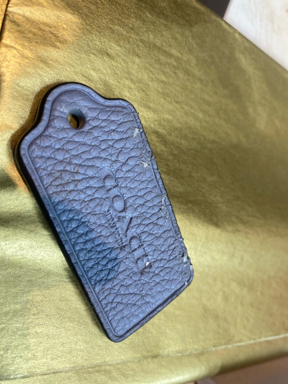 Coach Tag (Cyber Blue)